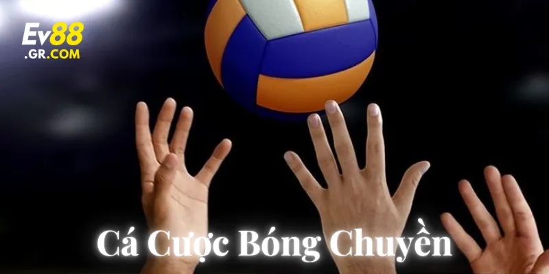 Giải mã chi tiết về cá cược bóng chuyền